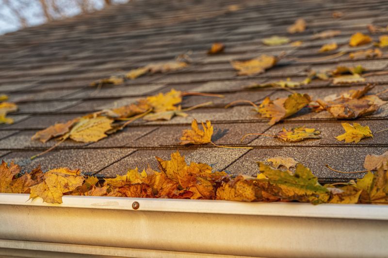 Autumn Copper Roof Projects